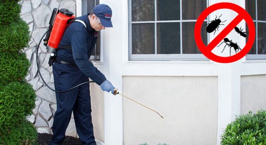 Evciler Pire İlaçlama böcek ilaçlama ve haşere kontrolü — ilaclama-tr.com